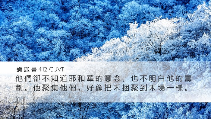彌 迦 書 4:12 CUVT Bible Verse Image