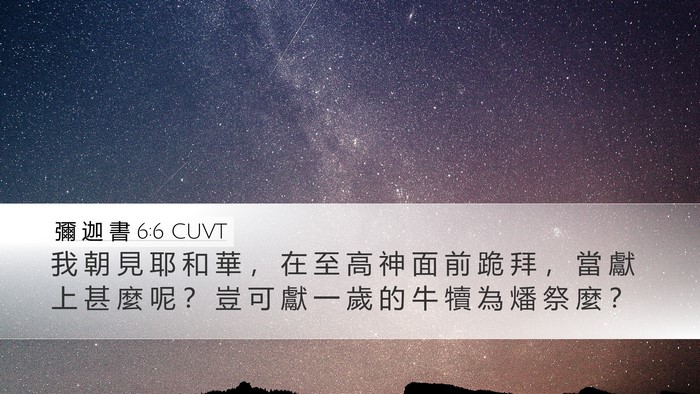 彌 迦 書 6:6 CUVT Bible Verse Image