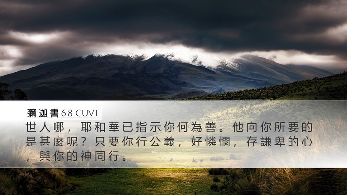 彌 迦 書 6:8 CUVT Bible Verse Image