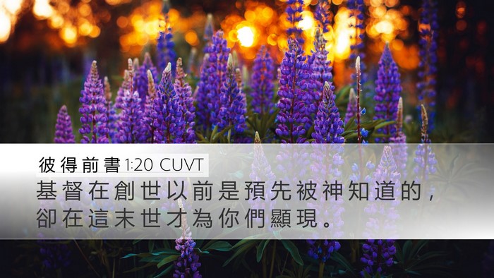 彼 得 前 書 1:20 CUVT Bible Verse Image