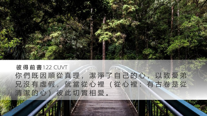 彼 得 前 書 1:22 CUVT Bible Verse Image