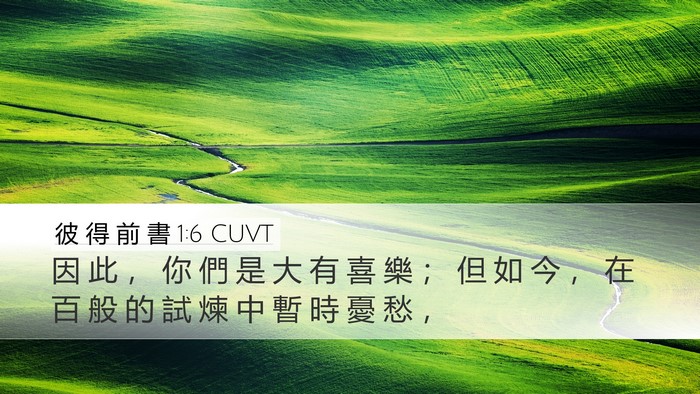 彼 得 前 書 1:6 CUVT Bible Verse Image