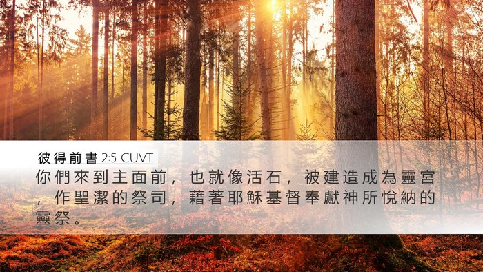 彼 得 前 書 2:5 CUVT Bible Verse Image