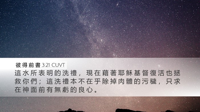 彼 得 前 書 3:21 CUVT Bible Verse Image