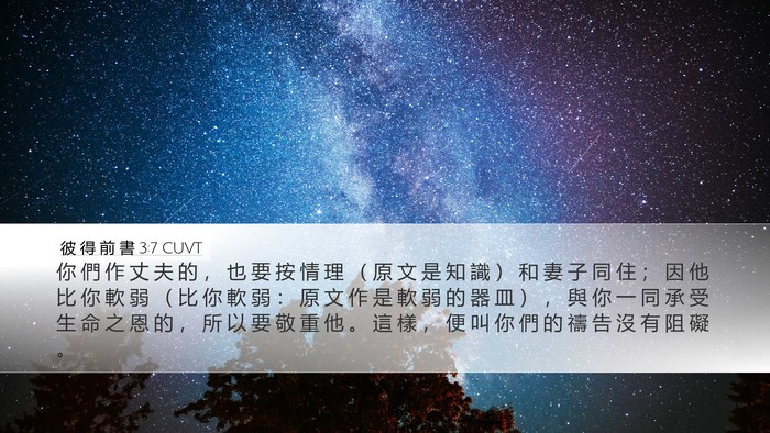 彼 得 前 書 3:7 CUVT Bible Verse Image