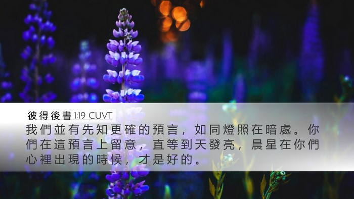 彼 得 後 書 1:19 CUVT Bible Verse Image
