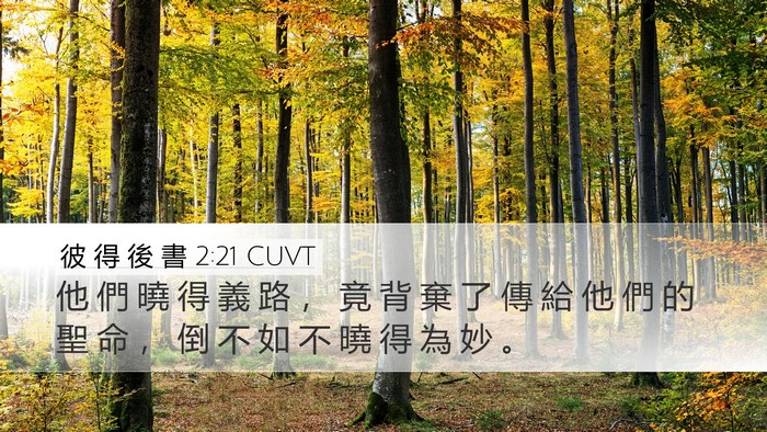 彼 得 後 書 2:21 CUVT Bible Verse Image