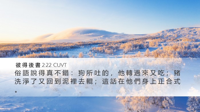 彼 得 後 書 2:22 CUVT Bible Verse Image
