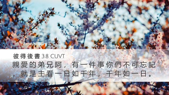 彼 得 後 書 3:8 CUVT Bible Verse Image
