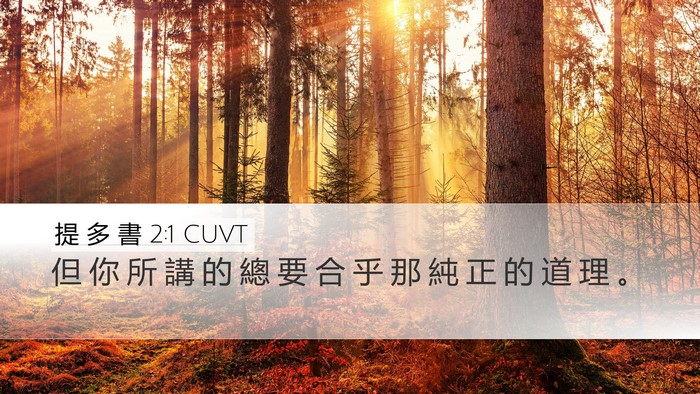 提 多 書 2:1 CUVT Bible Verse Image