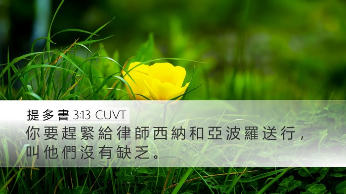提 多 書 3:13 CUVT Bible Verse Image