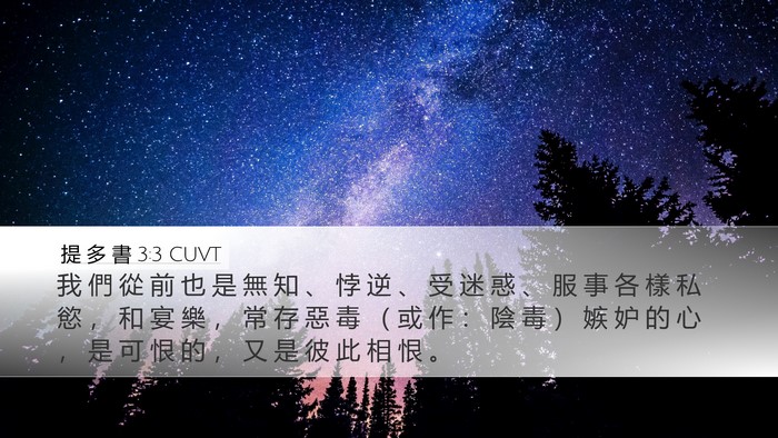 提 多 書 3:3 CUVT Bible Verse Image
