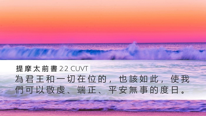 提 摩 太 前 書 2:2 CUVT Desktop Wallpaper - 為 君 王 和 一 切 在 位 的 ， 也 該 - Desktop Bible Verse Wallpaper