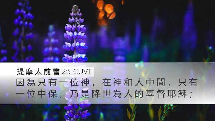提 摩 太 前 書 2:5 CUVT Bible Verse Image