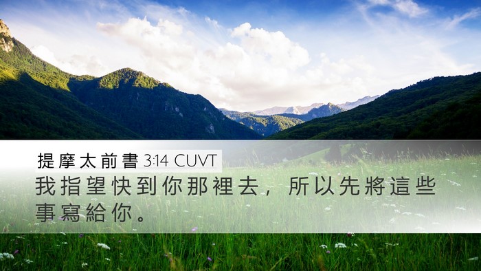 提 摩 太 前 書 3:14 CUVT Bible Verse Image