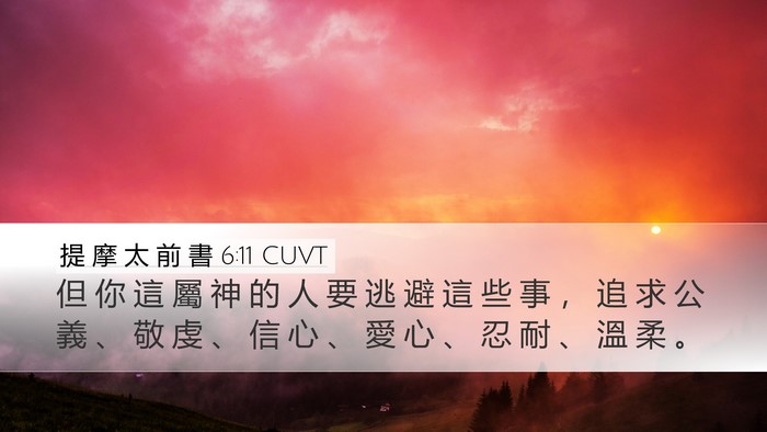 提 摩 太 前 書 6:11 CUVT Bible Verse Image