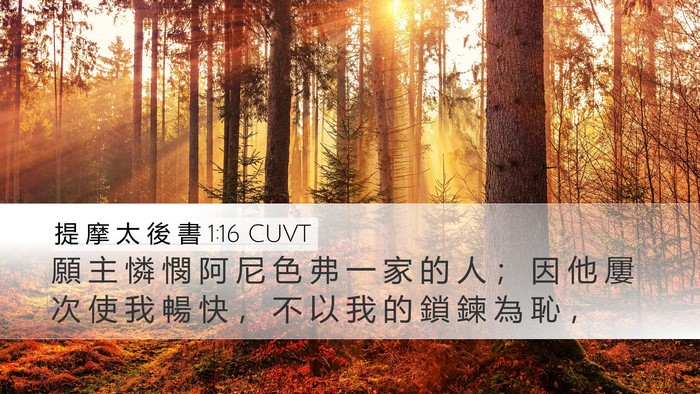 提 摩 太 後 書 1:16 CUVT Bible Verse Image