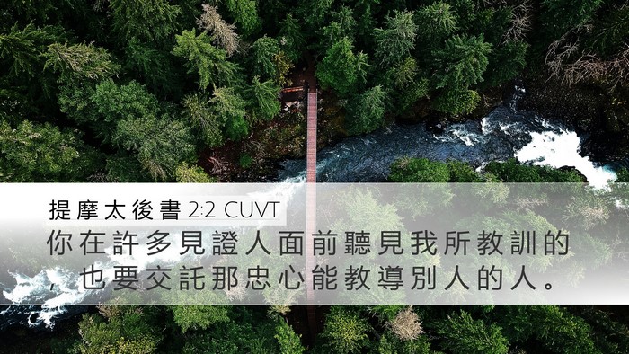 提 摩 太 後 書 2:2 CUVT Bible Verse Image