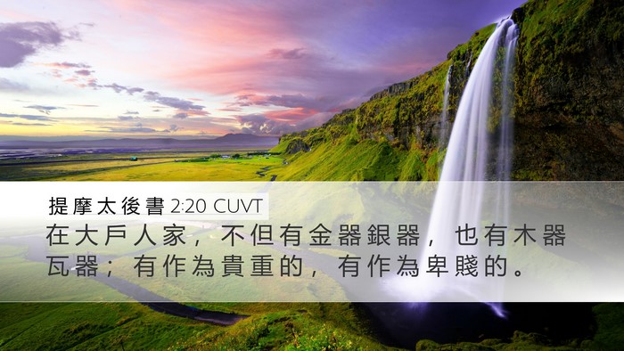 提 摩 太 後 書 2:20 CUVT Bible Verse Image