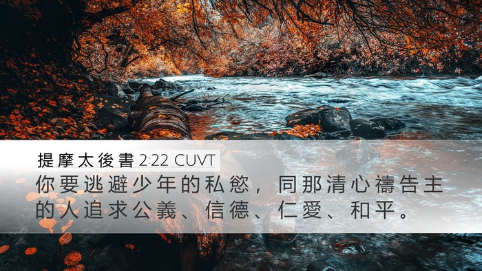 提 摩 太 後 書 2:22 CUVT Bible Verse Image
