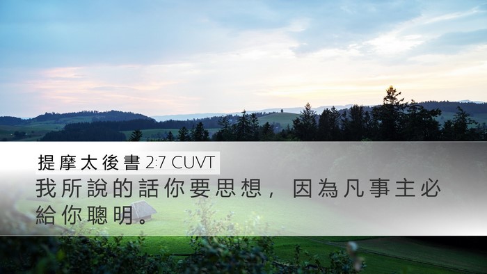 提 摩 太 後 書 2:7 CUVT Bible Verse Image
