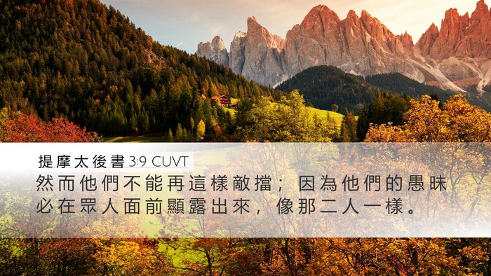 提 摩 太 後 書 3:9 CUVT Bible Verse Image