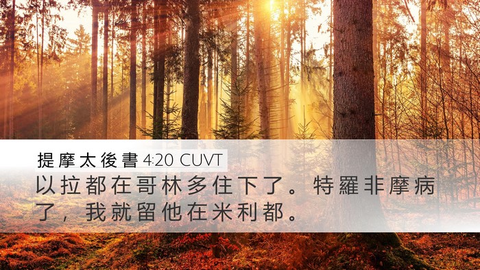 提 摩 太 後 書 4:20 CUVT Bible Verse Image