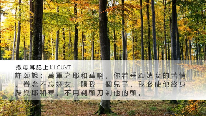 撒 母 耳 記 上 1:11 CUVT Bible Verse Image