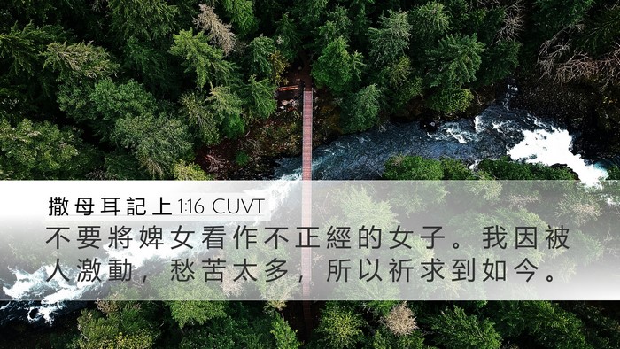 撒 母 耳 記 上 1:16 CUVT Desktop Wallpaper - 不 要 將 婢 女 看 作 不 正 經 的 女 - Desktop Bible Verse Wallpaper