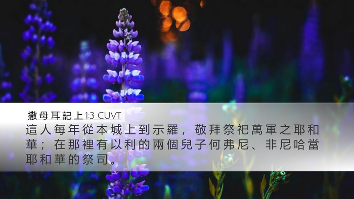撒 母 耳 記 上 1:3 CUVT Bible Verse Image