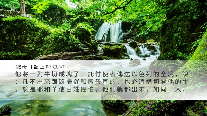 撒 母 耳 記 上 11:7 CUVT Desktop Wallpaper - 他 將 一 對 牛 切 成 塊 子 ， 託 付 - Desktop Bible Verse Wallpaper