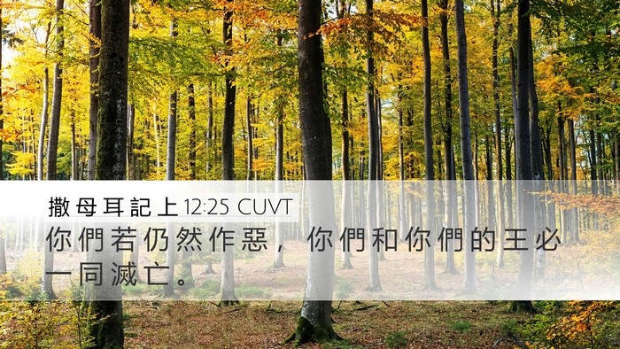 撒 母 耳 記 上 12:25 CUVT Bible Verse Image