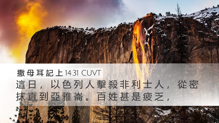 撒 母 耳 記 上 14:31 CUVT Bible Verse Image