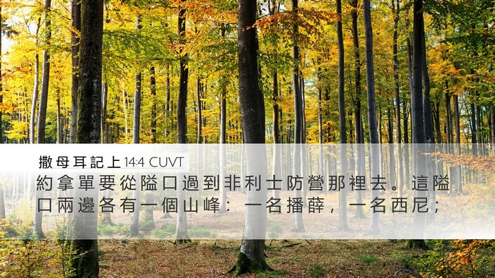 撒 母 耳 記 上 14:4 CUVT Desktop Wallpaper - 約 拿 單 要 從 隘 口 過 到 非 利 士 - Desktop Bible Verse Wallpaper