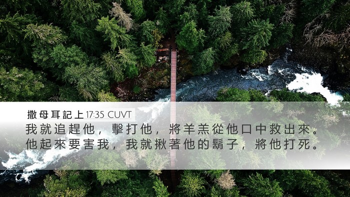 撒 母 耳 記 上 17:35 CUVT Desktop Wallpaper - 我 就 追 趕 他 ， 擊 打 他 ， 將 羊 - Desktop Bible Verse Wallpaper