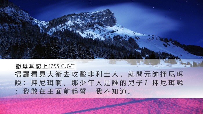 撒 母 耳 記 上 17:55 CUVT Bible Verse Image