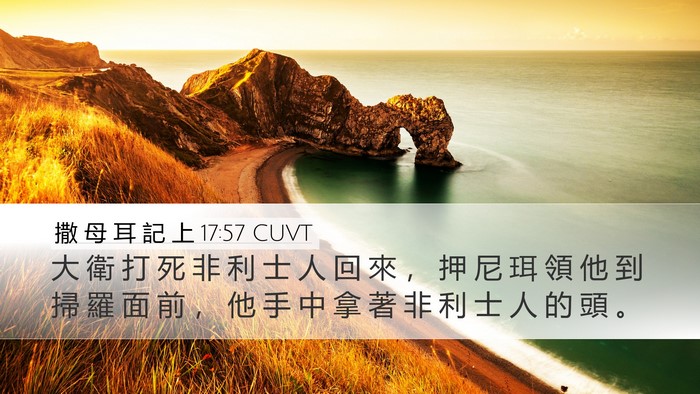 撒 母 耳 記 上 17:57 CUVT Desktop Wallpaper - 大 衛 打 死 非 利 士 人 回 來 ， 押 - Desktop Bible Verse Wallpaper