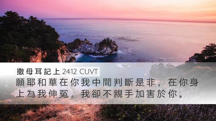 撒 母 耳 記 上 24:12 CUVT Bible Verse Image