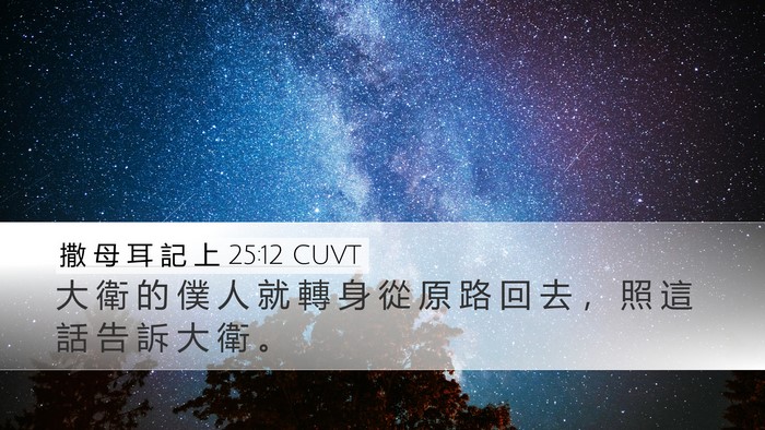 撒 母 耳 記 上 25:12 CUVT Desktop Wallpaper - 大 衛 的 僕 人 就 轉 身 從 原 路 回 - Desktop Bible Verse Wallpaper