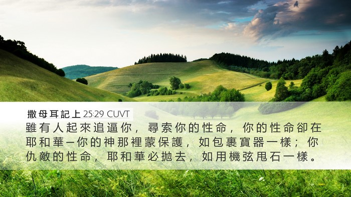 撒 母 耳 記 上 25:29 CUVT Bible Verse Image