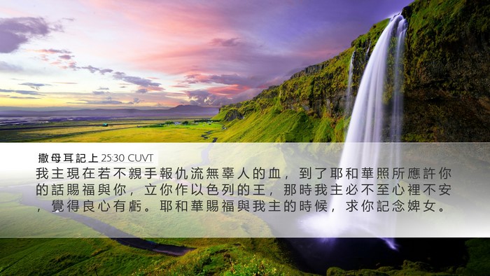 撒 母 耳 記 上 25:30 CUVT Desktop Wallpaper - 我 主 現 在 若 不 親 手 報 仇 流 無 - Desktop Bible Verse Wallpaper