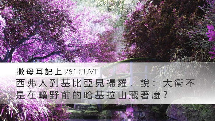 撒 母 耳 記 上 26:1 CUVT Desktop Wallpaper - 西 弗 人 到 基 比 亞 見 掃 羅 ， 說 - Desktop Bible Verse Wallpaper