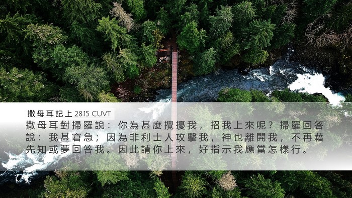 撒 母 耳 記 上 28:15 CUVT Bible Verse Image