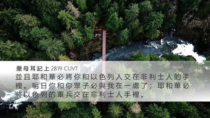 撒 母 耳 記 上 28:19 CUVT Bible Verse Image