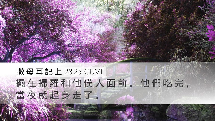 撒 母 耳 記 上 28:25 CUVT Desktop Wallpaper - 擺 在 掃 羅 和 他 僕 人 面 前 。 他 - Desktop Bible Verse Wallpaper