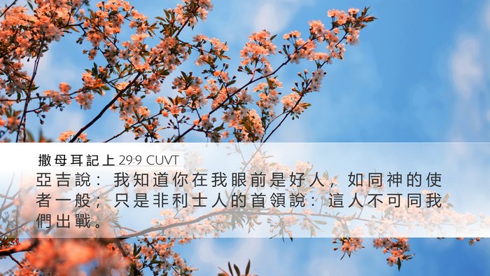 撒 母 耳 記 上 29:9 CUVT Bible Verse Image