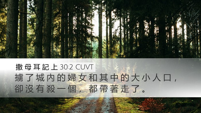 撒 母 耳 記 上 30:2 CUVT Desktop Wallpaper - 擄 了 城 內 的 婦 女 和 其 中 的 大 - Desktop Bible Verse Wallpaper