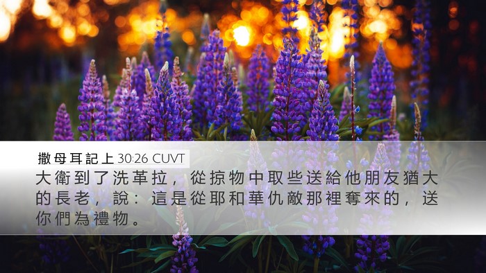 撒 母 耳 記 上 30:26 CUVT Bible Verse Image
