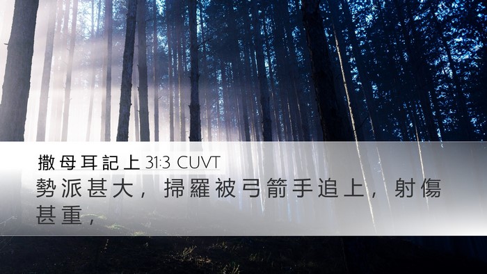 撒 母 耳 記 上 31:3 CUVT Bible Verse Image