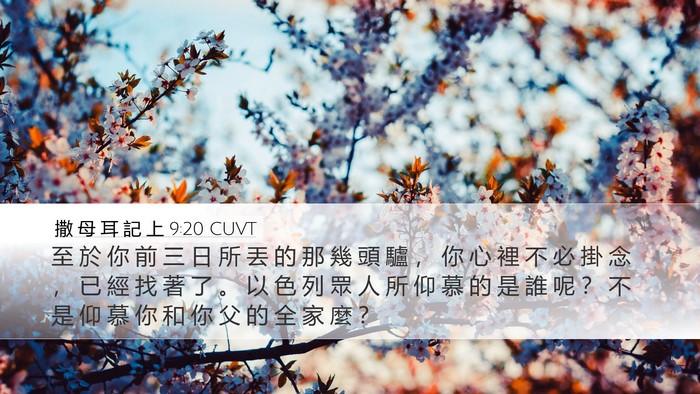撒 母 耳 記 上 9:20 CUVT Desktop Wallpaper - 至 於 你 前 三 日 所 丟 的 那 幾 頭 - Desktop Bible Verse Wallpaper